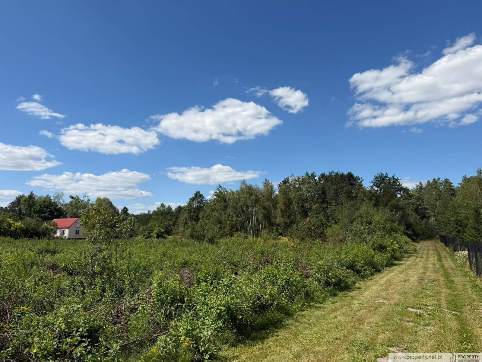Działka Sprzedaż Zasów 8