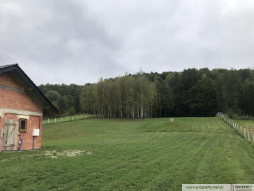 Dom Sprzedaż Siedliska-Bogusz