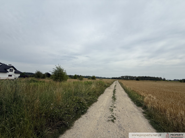 Działka Sprzedaż Straszęcin 3