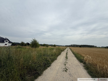 Działka Sprzedaż Straszęcin