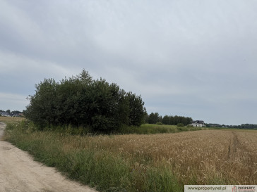 Działka Sprzedaż Straszęcin