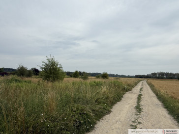 Działka Sprzedaż Straszęcin
