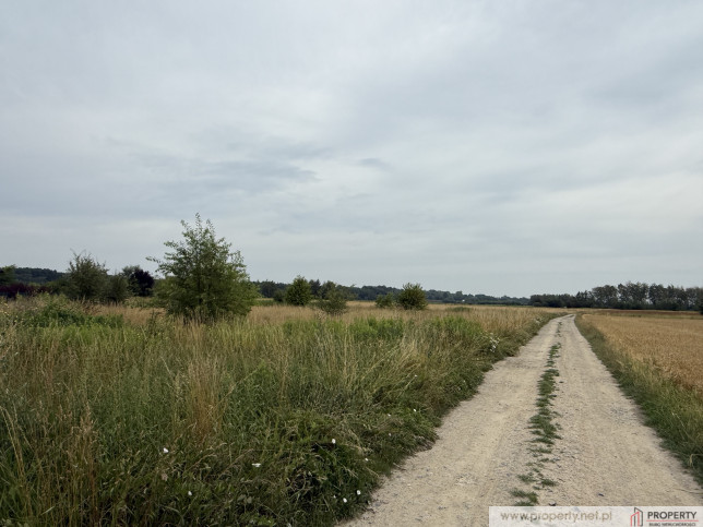 Działka Sprzedaż Straszęcin 3