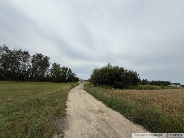 Działka Sprzedaż Straszęcin