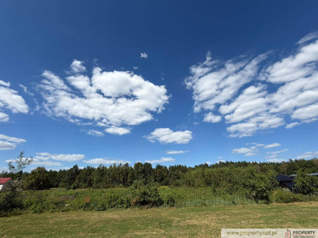 Działka Sprzedaż Zasów 3